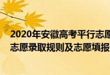 2020年安徽高考平行志愿填報技巧（2022年安徽高考平行志愿錄取規(guī)則及志愿填報設置解讀）