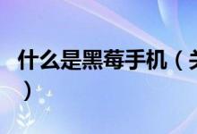 什么是黑莓手機(jī)（關(guān)于什么是黑莓手機(jī)的介紹）