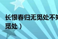 長(zhǎng)恨春歸無(wú)覓處不知轉(zhuǎn)入此中來(lái)（長(zhǎng)恨春歸無(wú)覓處）