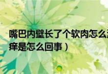嘴巴內(nèi)壁長(zhǎng)了個(gè)軟肉怎么治療（嘴巴內(nèi)壁長(zhǎng)了個(gè)軟肉不痛不癢是怎么回事）