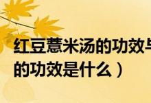 紅豆薏米湯的功效與作用有哪些（薏米紅豆湯的功效是什么）
