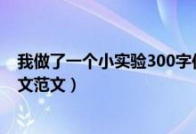 我做了一個小實驗300字作文三年級（我做了一項小實驗作文范文）
