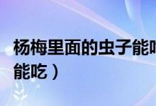 楊梅里面的蟲子能吃嗎（楊梅里面的蟲子能不能吃）