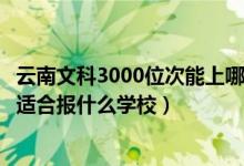 云南文科3000位次能上哪些大學(xué)（云南高考位次60000左右適合報(bào)什么學(xué)校）