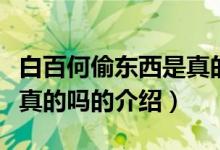 白百何偷東西是真的嗎（關(guān)于白百何偷東西是真的嗎的介紹）