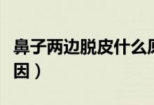 鼻子兩邊脫皮什么原因（鼻子兩邊脫皮什么原因）
