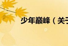 少年巔峰（關(guān)于少年巔峰的介紹）