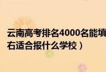 云南高考排名4000名能填報的學(xué)校（云南高考位次90000左右適合報什么學(xué)校）