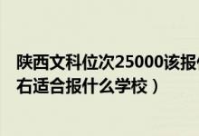陜西文科位次25000該報什么學校（陜西高考位次20000左右適合報什么學校）