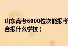 山東高考6000位次能報考學(xué)校（山東高考位次90000左右適合報什么學(xué)校）