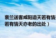 衰蘭送客咸陽道天若有情天亦老的意思（衰蘭送客咸陽道天若有情天亦老的出處）
