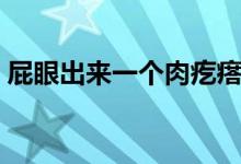 屁眼出來一個肉疙瘩（屁眼出來一個肉疙瘩）