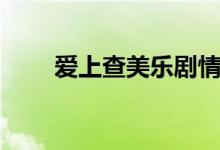 愛上查美樂劇情（愛上查美樂簡介）
