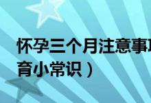 懷孕三個(gè)月注意事項(xiàng)（孕媽媽要知道的5個(gè)孕育小常識(shí)）