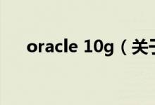 oracle 10g（關(guān)于oracle 10g的介紹）