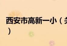 西安市高新一?。P(guān)于西安市高新一小的介紹）