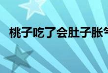 桃子吃了會肚子脹氣嗎（桃子吃了上火嗎）