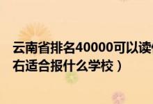 云南省排名40000可以讀什么大學(xué)（云南高考位次50000左右適合報(bào)什么學(xué)校）