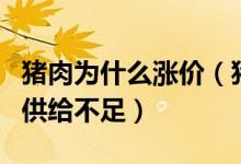 豬肉為什么漲價(jià)（豬肉漲價(jià)是因?yàn)榻衲曦i肉的供給不足）