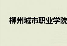 柳州城市職業(yè)學(xué)院怎么樣（好還是不好）
