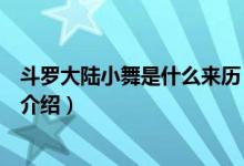 斗羅大陸小舞是什么來歷（關(guān)于斗羅大陸小舞是什么來歷的介紹）