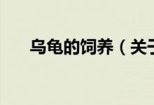 烏龜?shù)娘曫B(yǎng)（關(guān)于烏龜?shù)娘曫B(yǎng)的介紹）