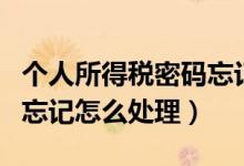 個人所得稅密碼忘記怎么辦（個人所得稅密碼忘記怎么處理）