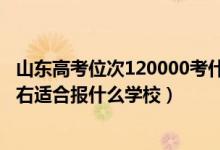 山東高考位次120000考什么學校（山東高考位次150000左右適合報什么學校）