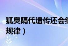 狐臭隔代遺傳還會(huì)繼續(xù)遺傳嗎（狐臭隔代遺傳規(guī)律）