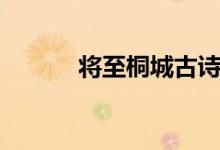 將至桐城古詩全文（將至桐城）