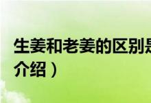 生姜和老姜的區(qū)別是什么（生姜和老姜的區(qū)別介紹）