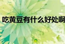 吃黃豆有什么好處?。ǔ粤它S豆有什么好處）