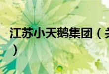 江蘇小天鵝集團(tuán)（關(guān)于江蘇小天鵝集團(tuán)的介紹）
