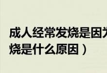 成人經常發(fā)燒是因為什么原因呢（成人經常發(fā)燒是什么原因）
