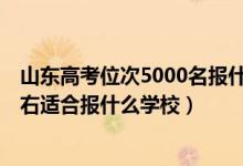 山東高考位次5000名報什么學校（山東高考位次120000左右適合報什么學校）