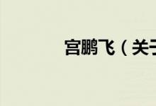 宮鵬飛（關(guān)于宮鵬飛的介紹）