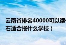 云南省排名40000可以讀什么大學(xué)（云南高考位次80000左右適合報什么學(xué)校）