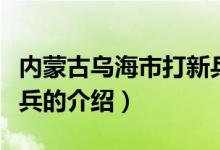 內(nèi)蒙古烏海市打新兵（關(guān)于內(nèi)蒙古烏海市打新兵的介紹）