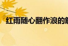 紅雨隨心翻作浪的解釋（紅雨隨心翻作浪）