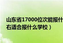 山東省17000位次能報什么學校（山東高考位次140000左右適合報什么學校）