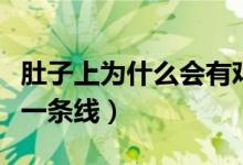 肚子上為什么會有雞皮膚（肚子上為什么會有一條線）