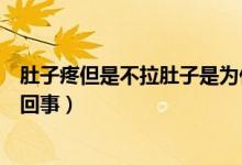 肚子疼但是不拉肚子是為什么(肚子疼但是不拉肚子是怎么回事)