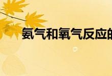 氨氣和氧氣反應(yīng)的條件（氨氣和氧氣）