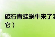 旅行青蛙蝸牛來(lái)了怎么辦（我們可以這樣招待它）