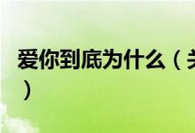 愛你到底為什么（關(guān)于愛你到底為什么的介紹）