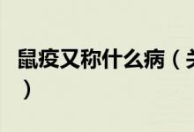 鼠疫又稱什么?。P(guān)于鼠疫又稱什么病的介紹）