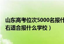山東高考位次5000名報什么學(xué)校（山東高考位次220000左右適合報什么學(xué)校）