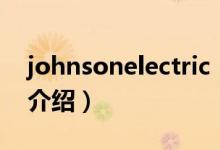 johnsonelectric（關于johnsonelectric的介紹）