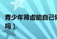青少年腎虛能自己恢復(fù)嗎（腎虛可以自己恢復(fù)嗎）
