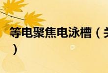 等電聚焦電泳槽（關于等電聚焦電泳槽的介紹）